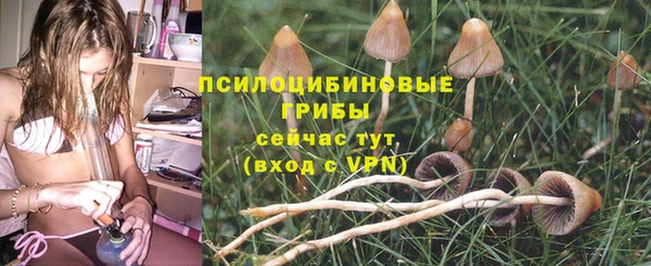 PSILOCYBIN Армянск