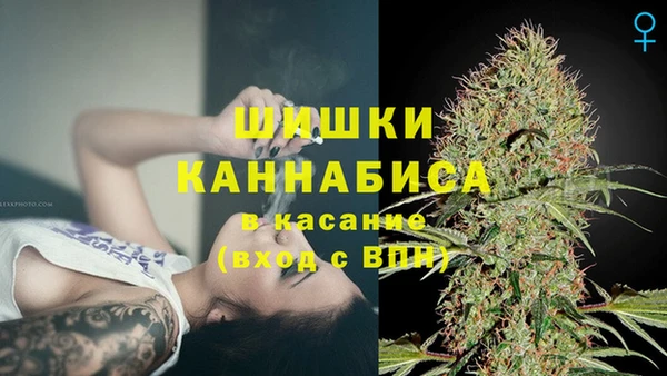 PSILOCYBIN Армянск
